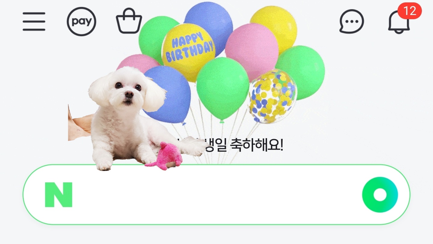 Screenshot_20250411_084403_NAVER.jpg