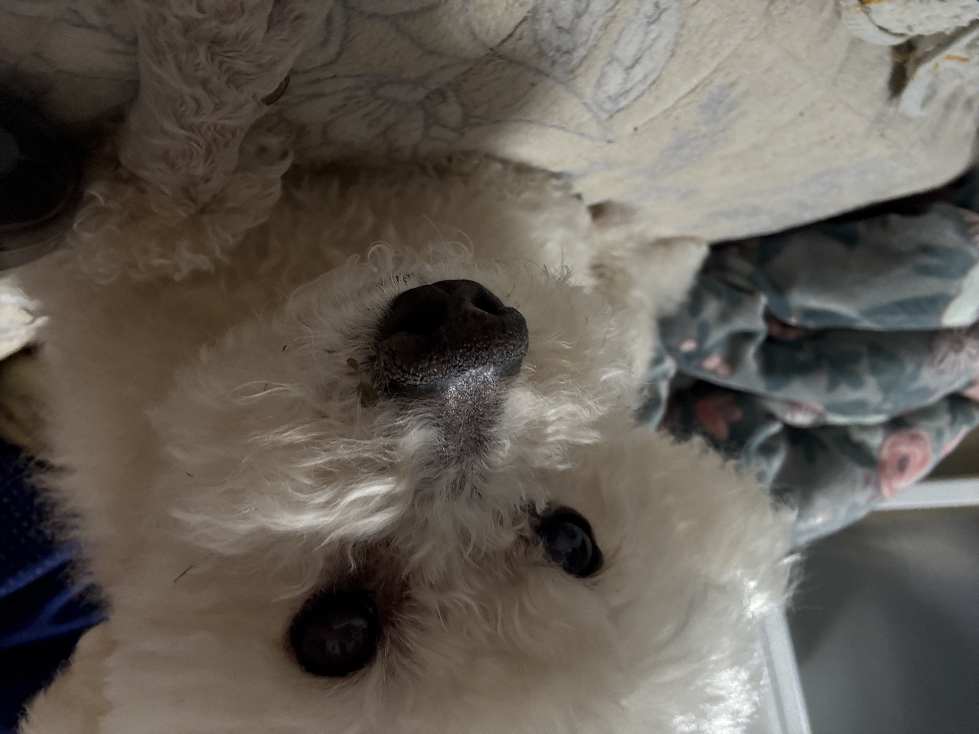 IMG_0257.jpeg