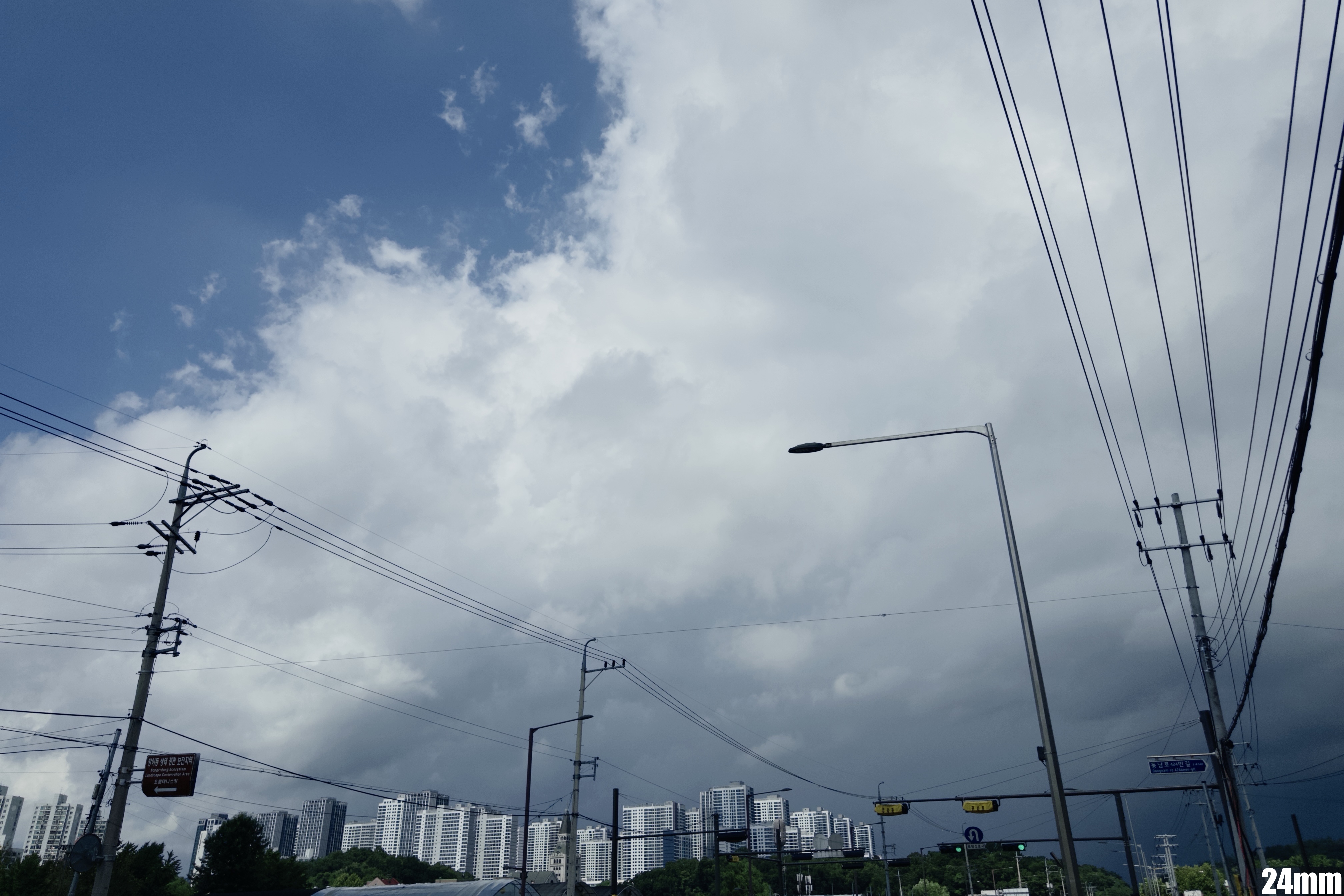IMG_1911.jpeg